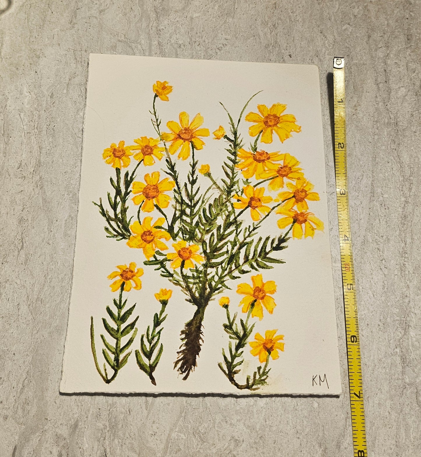 5x7 Daisy Original Watercolor