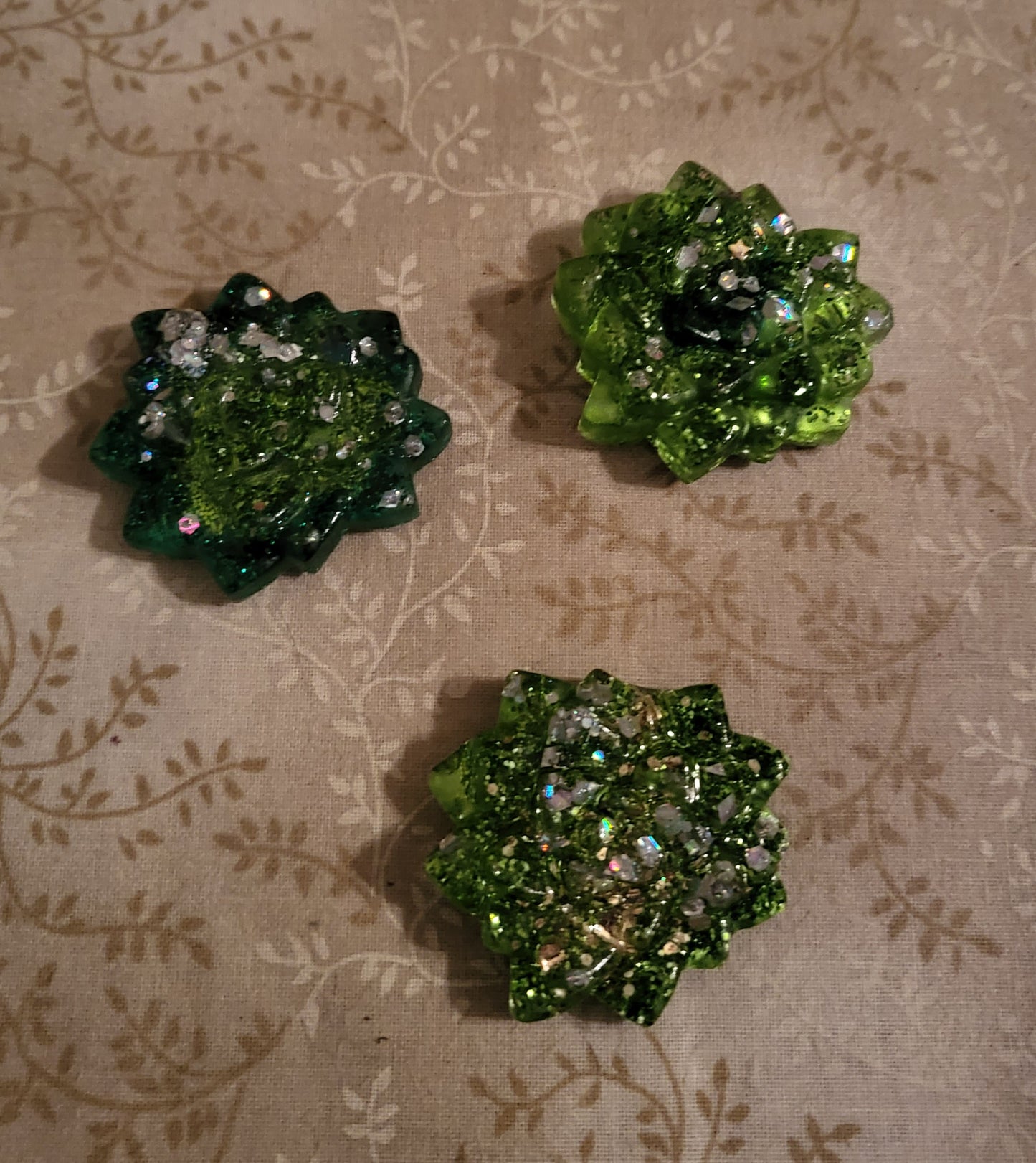 Green Succulent Magnet Set