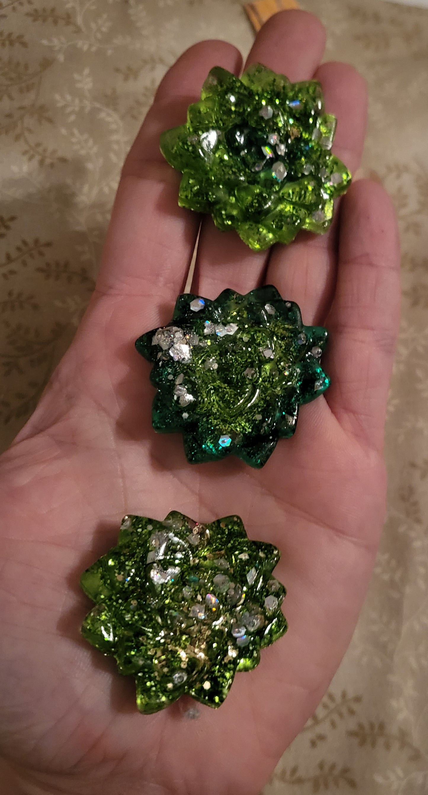 Green Succulent Magnet Set