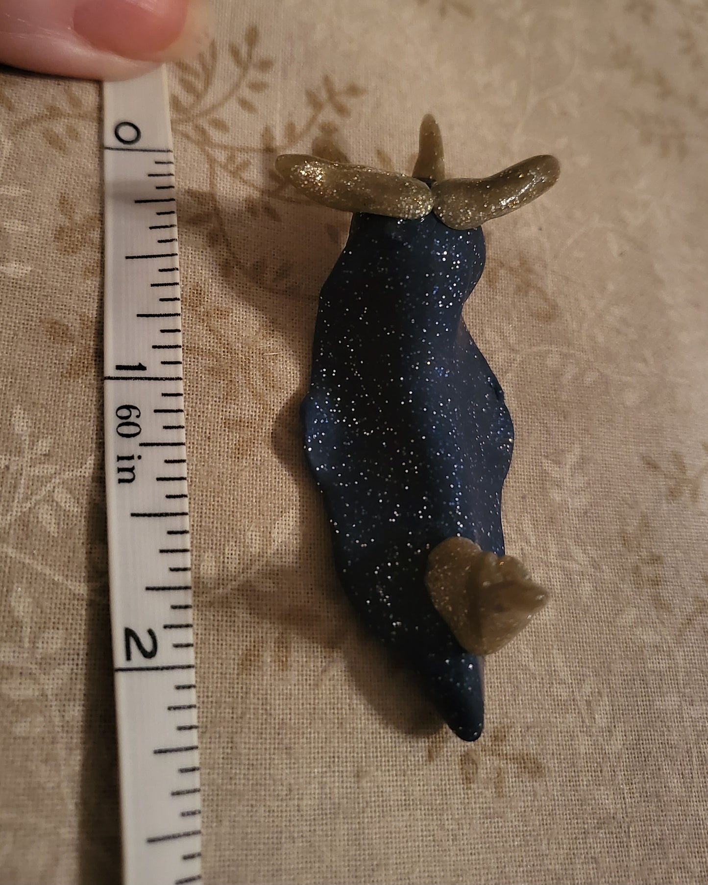 Wizard Nudibranch