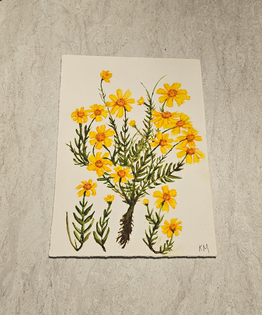 5x7 Daisy Original Watercolor