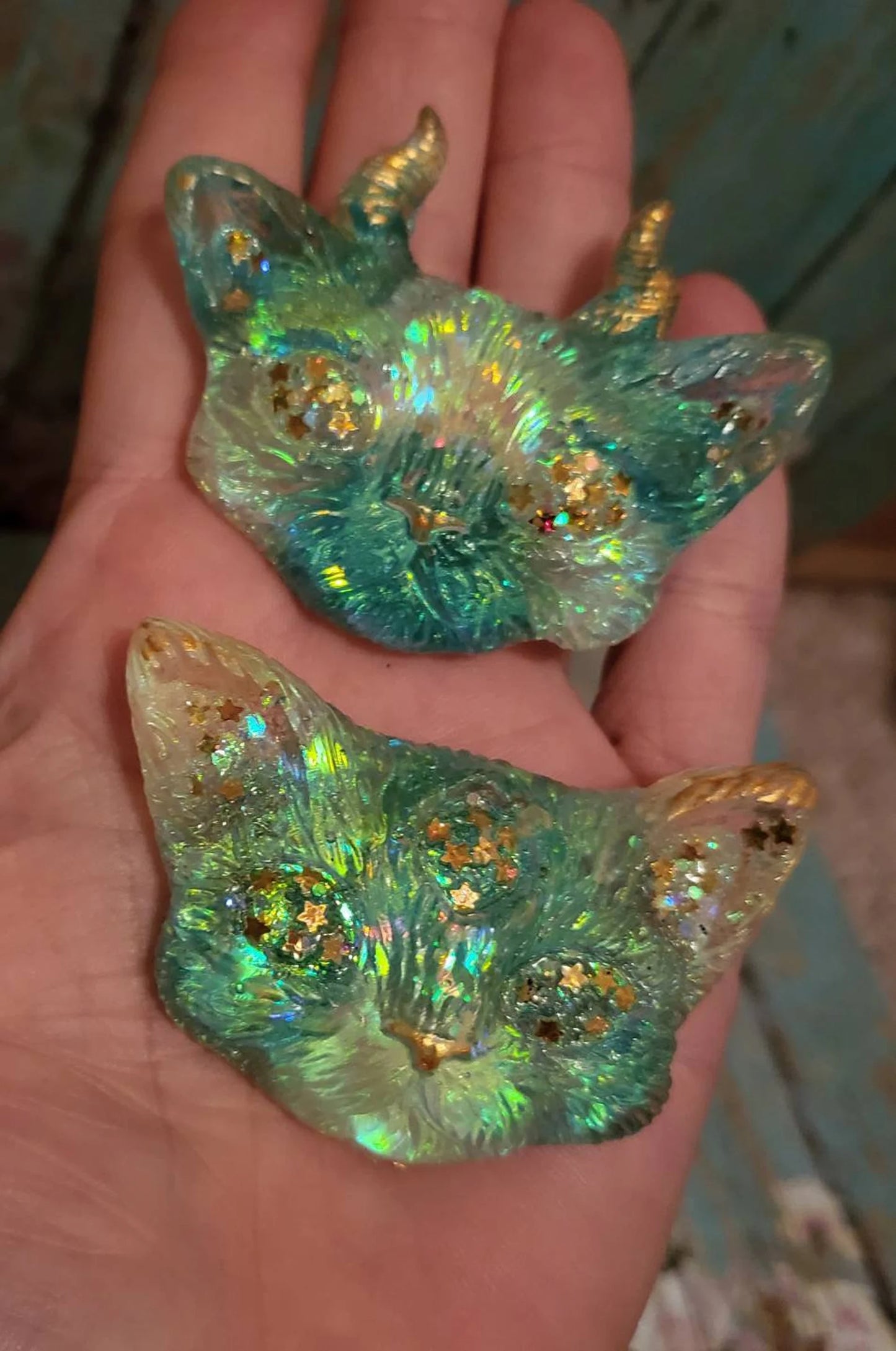 Odd Kitties Magnet Set